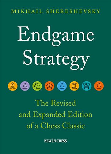 Endgame Strategy / Shereshevsky