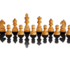 ChessGenius Exclusive – Image 5